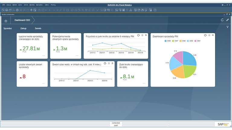 SAP Business One 10 Analiza Uniwersalna Personalizowane Dashbordy - SAP HANA - system ERP