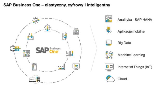 Analityka biznesowa w czasie rzeczywistym z SAP Business One