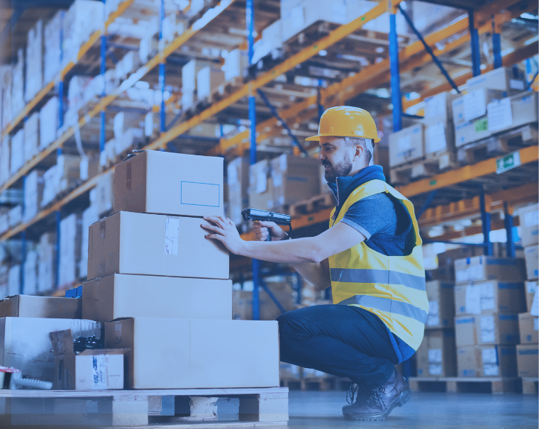Magazyn, Zapasy, gospodarka materiałowa w SAP Business One